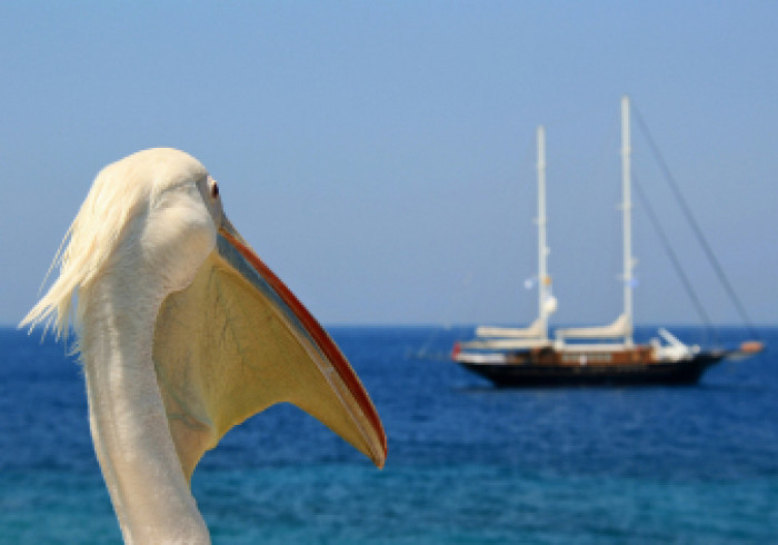 pixabay_mykonos_2