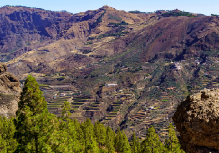 Roque_Nublo