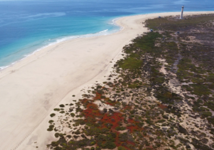 Fuerteventura_Morro_Jable_Strand
