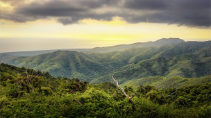 original_Nationalpark_Topes-de-Collantes_Kuba