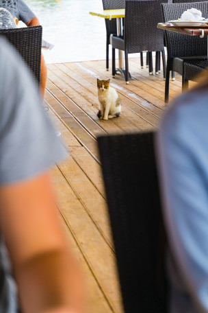 original_kevin-woblick-v270Vn5c_Qs-unsplash