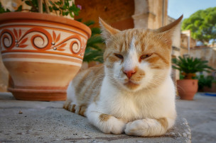 original_pixabay_kreta_11