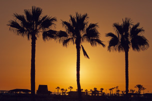 original_pixabay_gran-canaria_11
