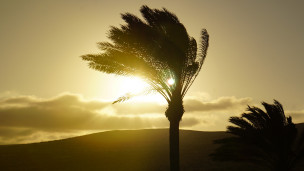 original_pixabay_fuerteventura_13