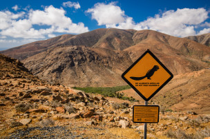 original_Adrillas_Fuerteventura_Eichhoernchen