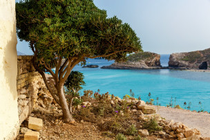 original_K_ste_Malta