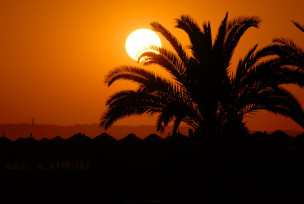 original_Algarve_Por