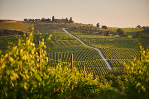 original_Wein_Toskana