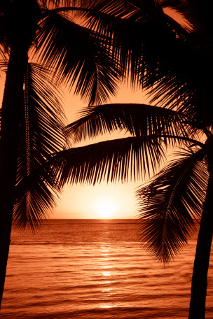 original_sunset_1