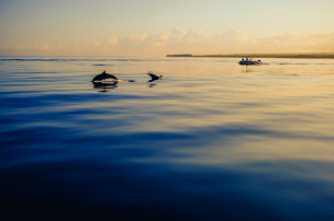 original_mauritius6