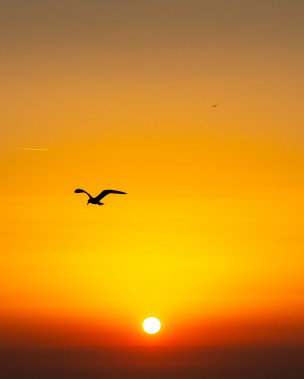 original_william-sinclair-7fTrdkIAVvA-unsplash