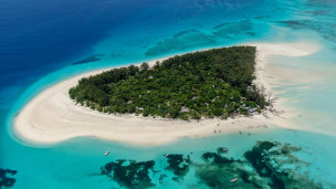 original_Mnemba-Island-Zanzibar-174